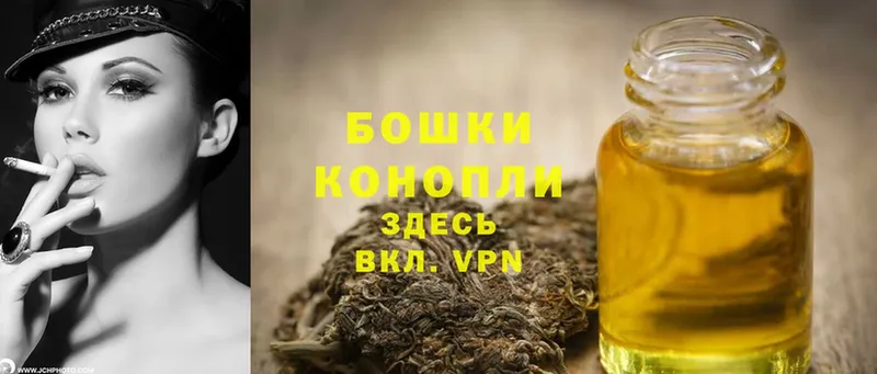 Бошки Шишки Amnesia  где можно купить наркотик  Георгиевск 